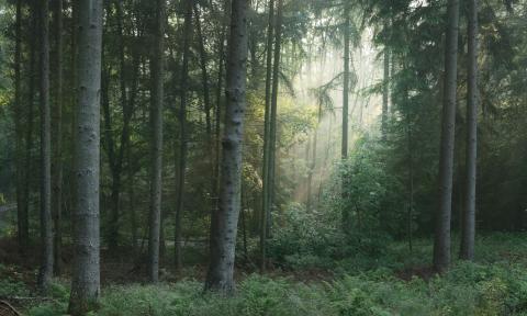 Sustainability shapes us